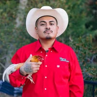 Mikey M Rivera